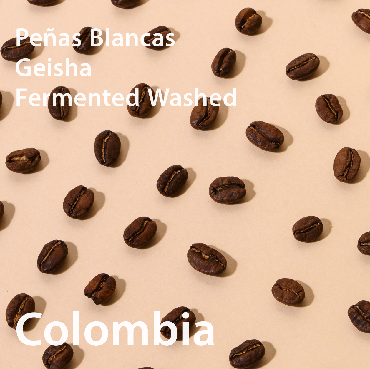 Colombia Peñas Blancas Geisha Fermented Washed コロンビア ペニャス・ブランカス農園 ゲイシャ種 ファーメントウォッシュト