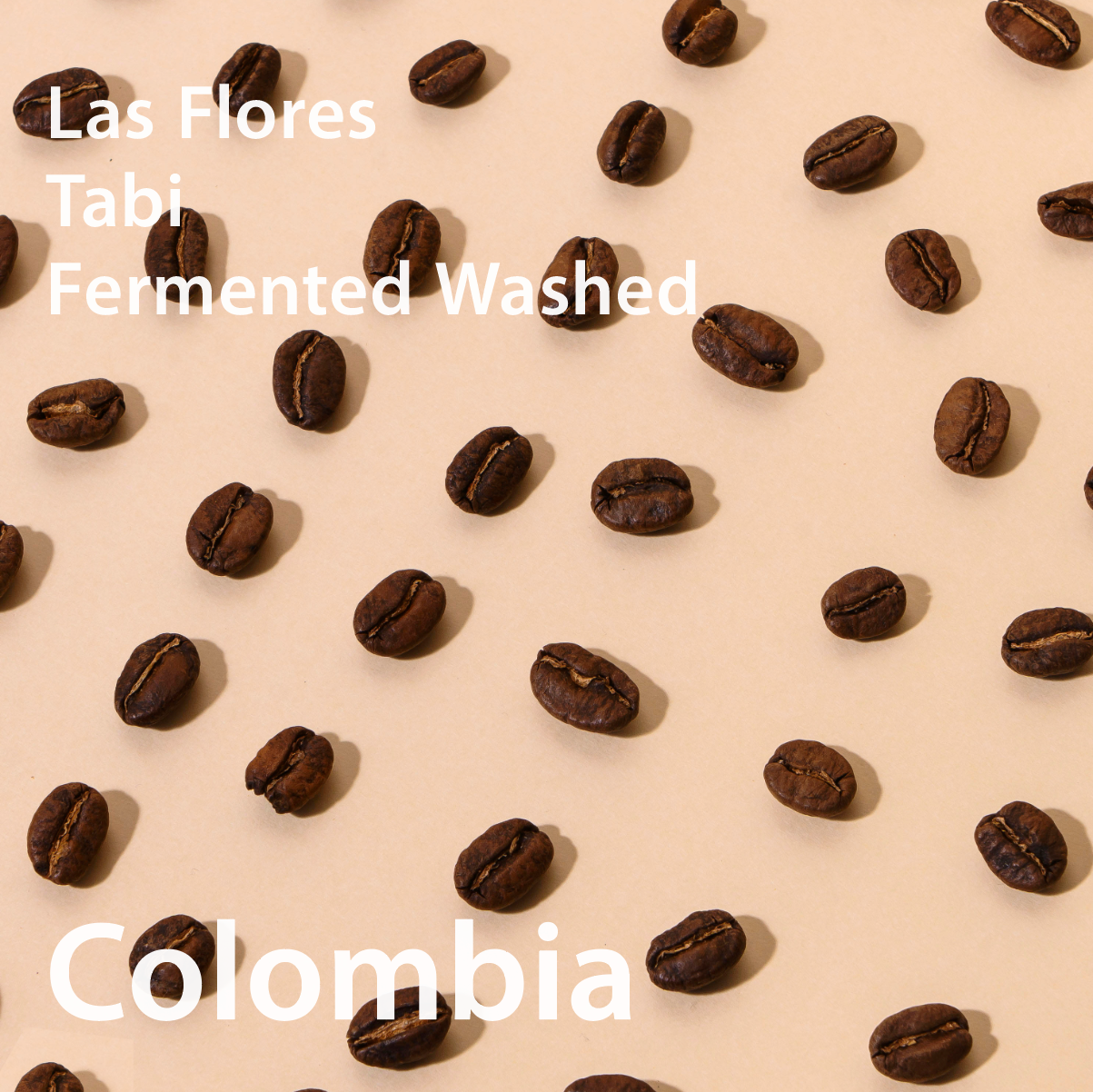 Colombia Las Flores Tabi Fermented Washed コロンビア ラスフローレス農園 タビ ファーメントウォッシュト