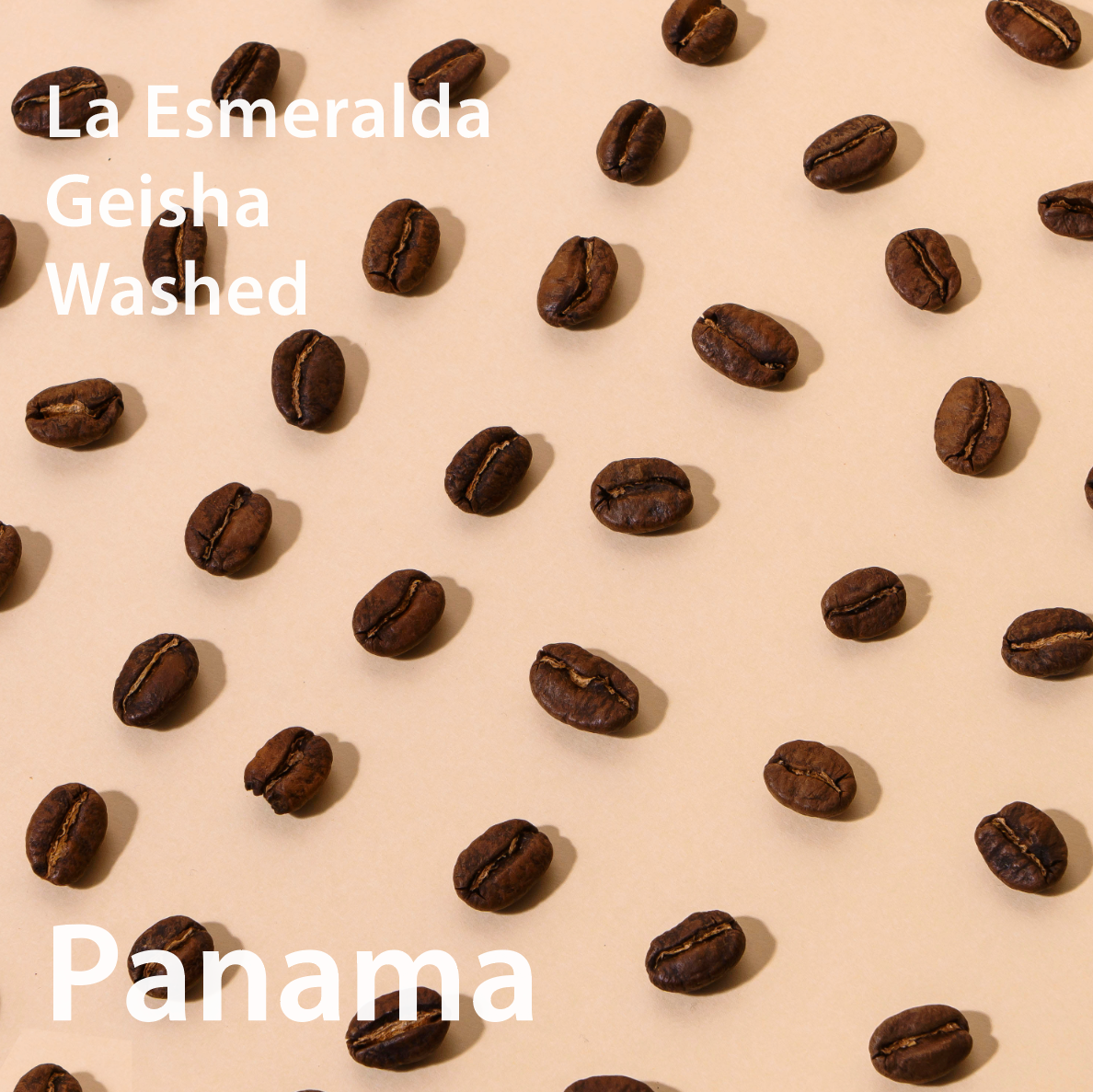 Panama La Esmeralda Geisha Washed パナマ エスメラルダ農園 ゲイシャ種 ウォッシュト