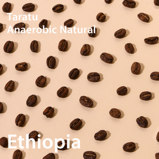 Ethiopia Taratu Anaerobic Natural / エチオピア タラトゥ アナエロビックナチュラル