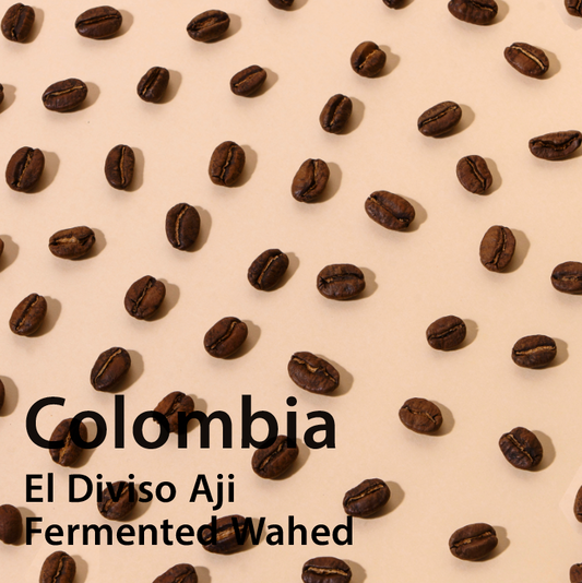 Colombia El Diviso Aji Fermented Washed