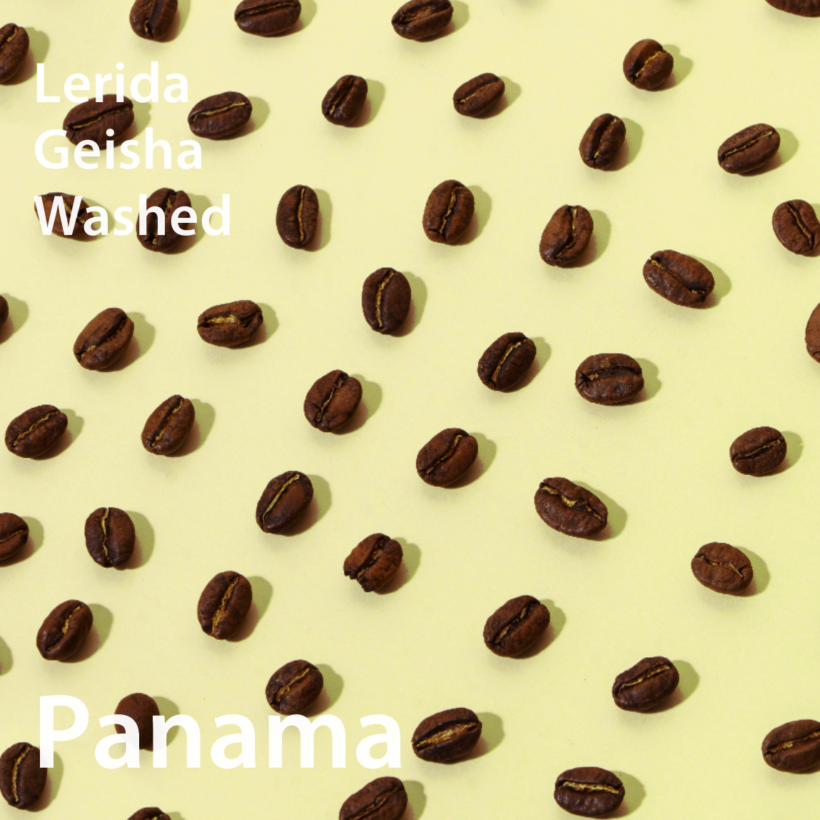 Panama Lerida Geisha Washed パナマ レリダ農園 ゲイシャ種 ウォッシュト