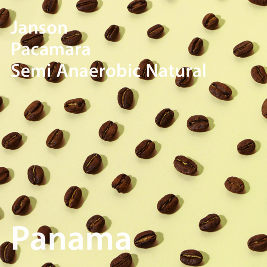 Panama Janson Pacamara Semi Anaerobic Natural パナマ ジャンソン農園 パカマラ種 セミアナエロビックナチュラル