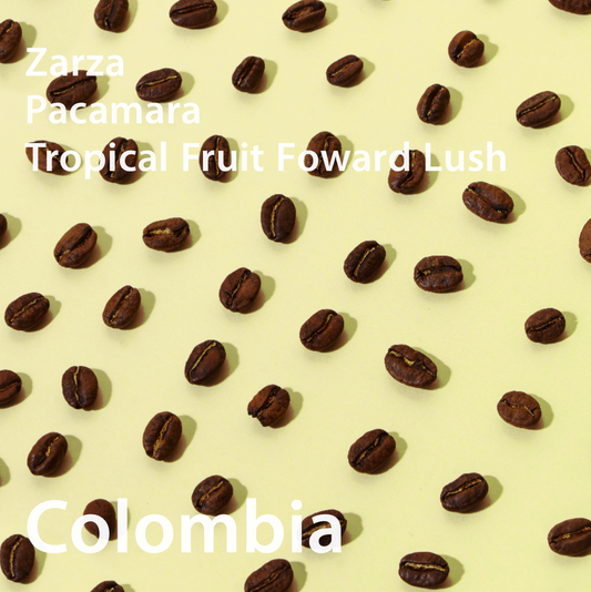 Colombia Zarza Pacamara Tropical Fruit Forward Lush コロンビア サルサ農園 パカマラ種　ファーメントナチュラル