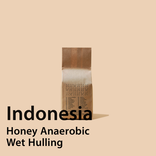 Indonesia Gayo Gilibas Double Fermentation