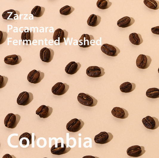 Colombia Zarza Pacamara Fermented Washed  コロンビア サルサ農園 パカマラ種　ファーメントウォッシュト