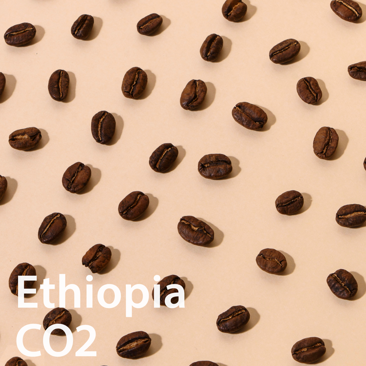 Ethiopia Halo Bereti CO2 Natural  エチオピア ハロ・ベレティ カーボニックマセレーションナチュラル
