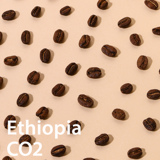 Ethiopia Halo Bereti CO2 Natural  エチオピア ハロ・ベレティ カーボニックマセレーションナチュラル
