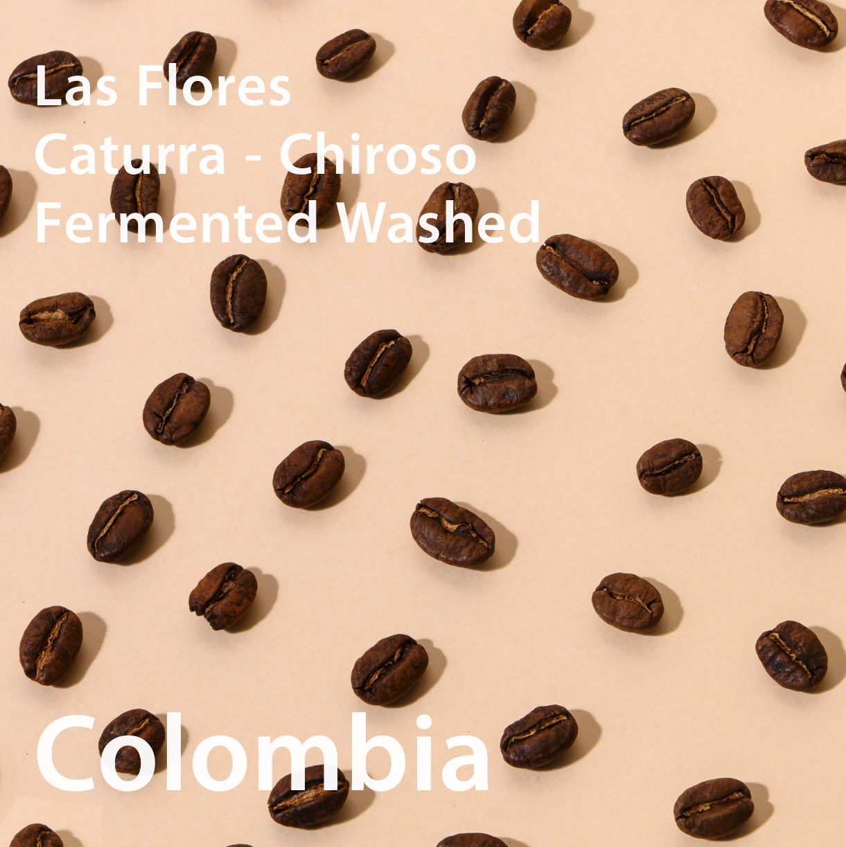 Colombia  Las Flores Caturra＆Chiroso Fermented Washed コロンビア ラスフローレス農園 カトゥーラ・チロソ ファーメントウォッシュト