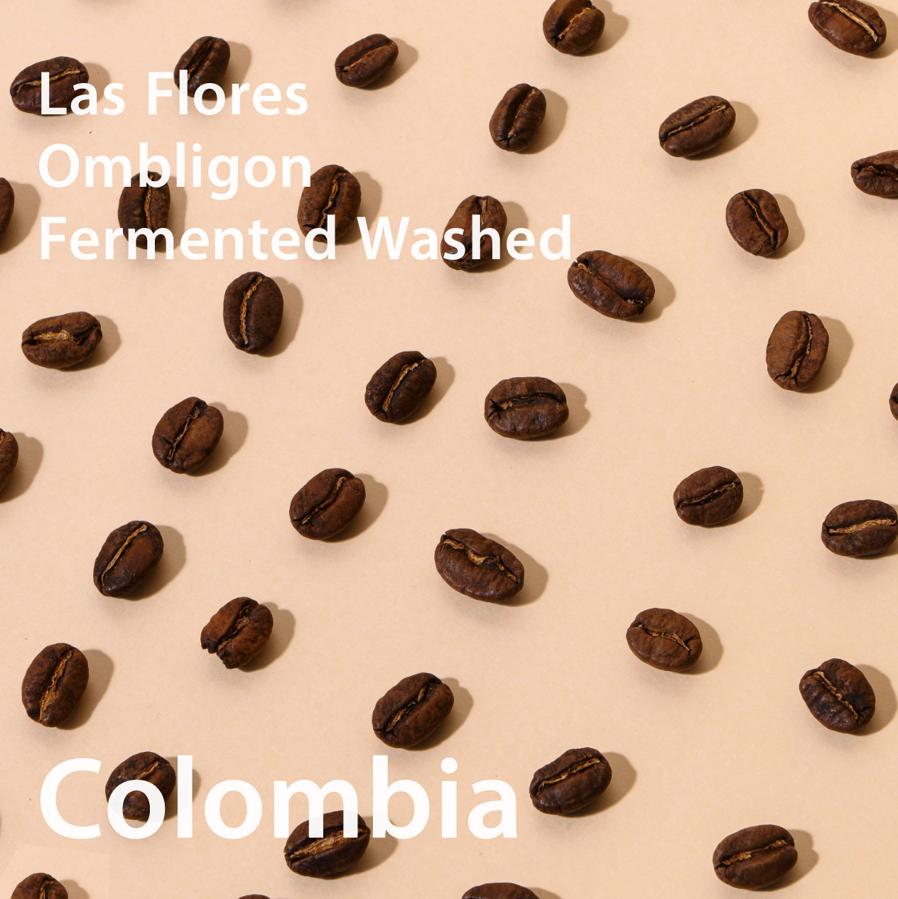Colombia Peñas Blancas Ombligon Fermented Washed コロンビア ペニャス・ブランカス オンブリゴン種 ファーメントウォッシュト