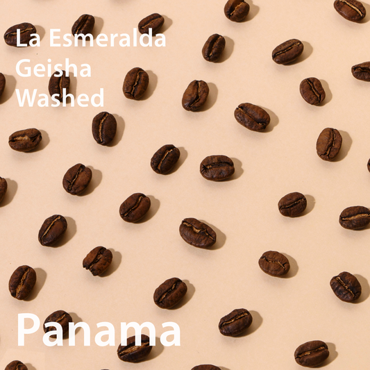 Panama La Esmeralda Geisha Washed パナマ エスメラルダ農園 ゲイシャ種 ウォッシュト